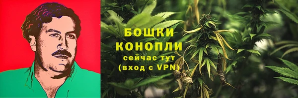 дживик Баксан