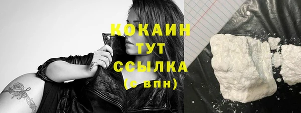 дживик Баксан