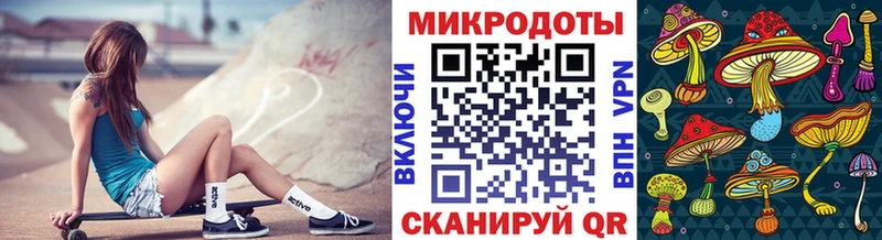 купить   Кстово  Псилоцибиновые грибы мицелий 
