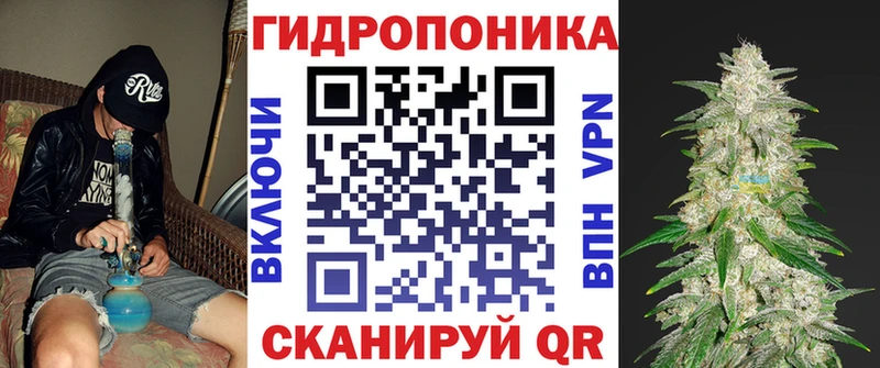 Бошки Шишки ГИДРОПОН закладки Кстово
